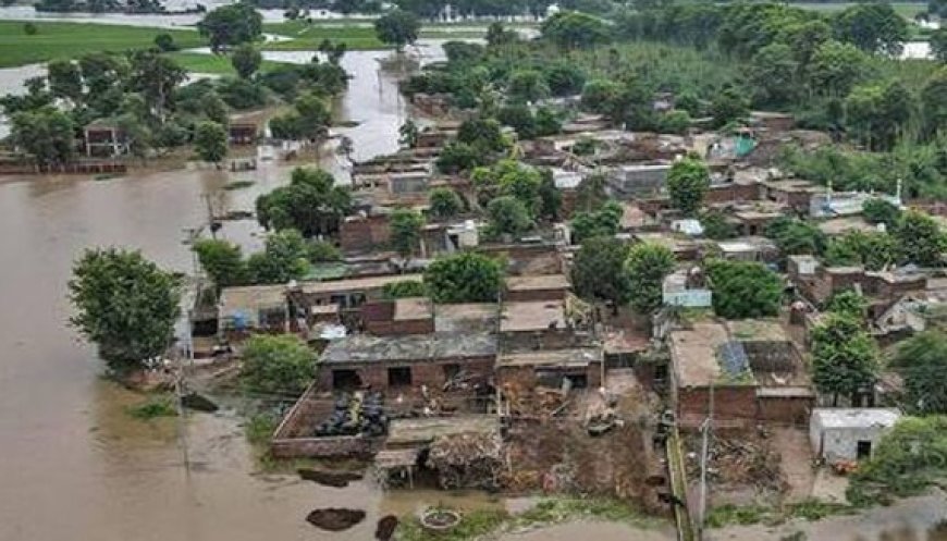 बॉलीवुड किंग शाहरुख खान की मीर फाउंडेशन ने पंजाब में बाढ़ प्रभावित परिवारों तक पहुंचाई मदद
