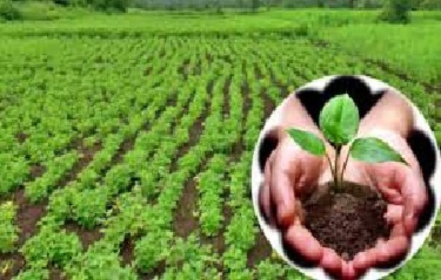2,22,893 किसानों ने प्राकृतिक खेती पद्धति को अपनाया, 38,437 हेक्टेयर भूमि पर हो रही प्राकृतिक खेती