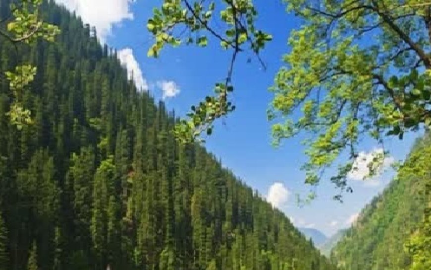 प्रदेश सरकार को 2026 तक ग्रीन एनर्जी स्टेट बनाने का रखा लक्ष्य