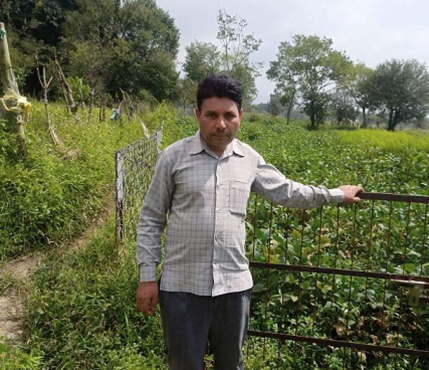 सफलता की कहानी  : सरकार की योजनाओं से प्रगतिशील किसान रोशन लाल की जिंदगी में आया बदलाव