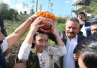 रोहित ठाकुर ने 3.26 करोड़ से निर्मित उठाऊ पेयजल योजना का किया उद्घाटन