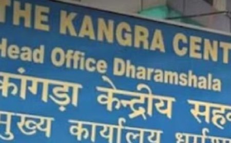 कांगड़ा केंद्रीय सहकारी बैंक प्रबंधन ने टंग नरवाणा के पूर्व शाखा प्रबंधक का निलंबन किया रद्द