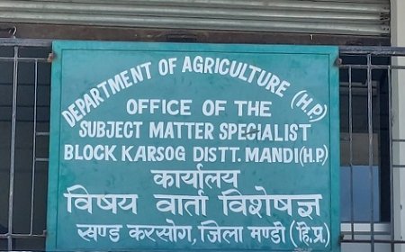 हिम उन्नति योजना से करसोग के किसान होंगे लाभान्वित, एक्शन प्लान को मिली मंजूरी