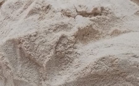 गुणवत्ता  मानकों पर खरा नहीं उतरा एक आटा मिल का गेहूं का आटा,चालक को नोटिस जारी करके मांगा जवाब