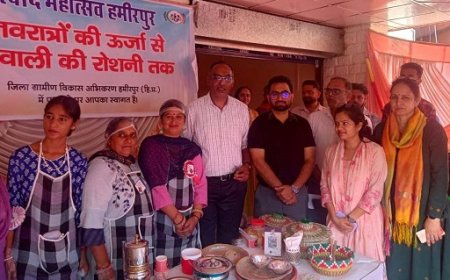 हमीर ग्राम उत्सव और स्वाद महोत्सव में पारंपरिक उत्पादों की शानदार झलक
