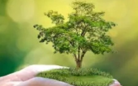 प्रदेश में माताओं और बच्चों ने मिलकर रोपे पौधे,देश-दुनिया को पर्यावरण संरक्षण का दिया संदेश