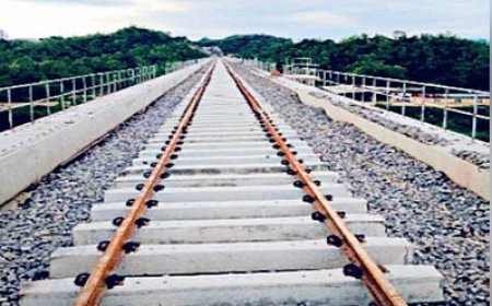 भानुपल्ली-लेह रेलवे परियोजना और कुल्लू-मनाली लेफ्ट बैंक सड़क परियोजना की अलाइनमेंट में अडंगा पैदा