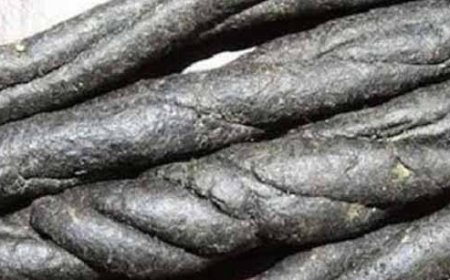 एनआईटी हमीरपुर के दो छात्रों को पुलिस ने चरस के साथ किया गिरफ्तार 