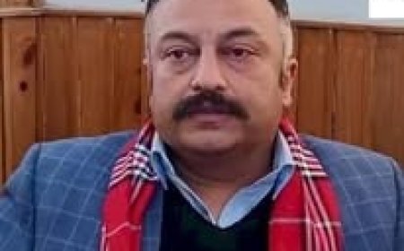 तीन साल में सरकार ने विपरीत परिस्थितियों में किया बेहतरीन काम : रोहित ठाकुर