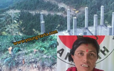 सड़क बनाने के लिए कांग्रेस नेता ने कटवाए 400 हरे पेड़ , संगड़ाह की कमलेश ने मुख्यमंत्री और राज्य पाल को भेजी शिकायत