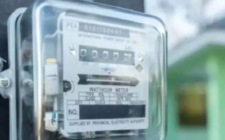  हिमाचल में घरेलू बिजली उपभोक्ताओं को अब केवल दो मीटरों तक ही सब्सिडी का मिलेगा लाभ  