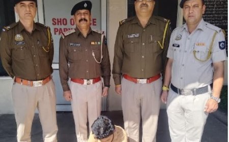 नाकाबंदी के दौरान पिंजौर से परवाणू की ओर आ रही कार से 10.50 ग्राम चिट्टा बरामद 