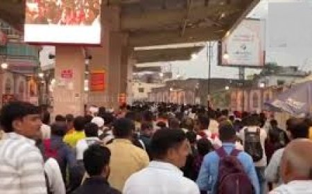 दिव्यांग बच्चो के लिए प्री दीवाली सेलीब्रेशन,कार्यक्रम मे विधायक अजय सोलंकी ने लिया हिस्सा