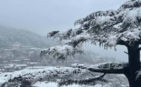 हिमाचल के ऊंचाई वाले इलाकों में दो दिन बारिश-बर्फबारी की संभावना 