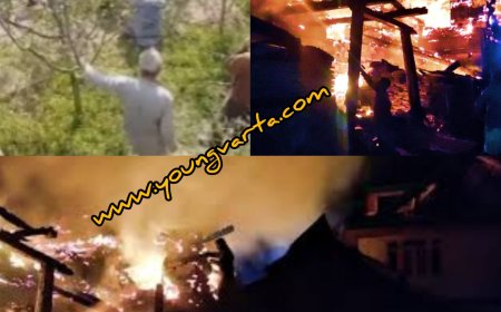 ठियोग में भीषण अग्निकांड , गांव में आग की भेंट चढ़े पांच घर , जिंदा जली गाय