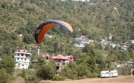 शिमला के जुन्गा में फ्लाइंग फेस्टिवल का आगाज, देश-विदेश के 60 पैराग्लाइडर ले रहे हिस्सा