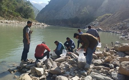 व्यास नदी में छोड़े गए 5 हजार महाशीर मछली बीज,रिवर रैंचिंग कार्यक्रम के तहत मत्स्य विभाग मंडी की पहल