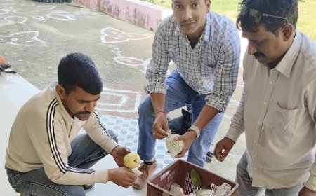 एचपी शिवा परियोजना से धर्मपुर में बागवानों की किस्मत चमकी, अमरूद की फसल से बढ़ी आय