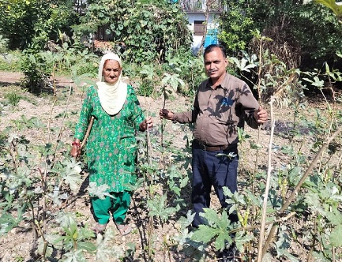 एक साथ कई फसलें उगाकर तीर्थू देवी ने पेश की मिसाल,वृद्ध महिला ने प्राकृतिक खेती से किया कमाल