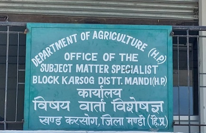 हिम उन्नति योजना से करसोग के किसान होंगे लाभान्वित, एक्शन प्लान को मिली मंजूरी