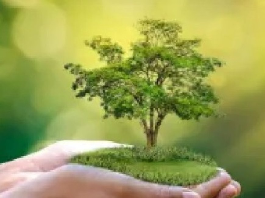 प्रदेश में माताओं और बच्चों ने मिलकर रोपे पौधे,देश-दुनिया को पर्यावरण संरक्षण का दिया संदेश 