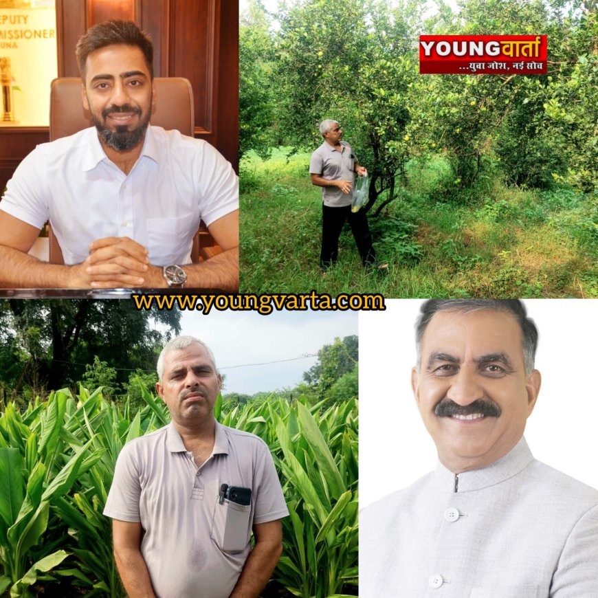 हिम उन्नति योजना के सफल क्रियान्वयन का उत्कृष्ट मॉडल बनकर उभरा ऊना , प्राकृतिक खेती की दिशा में बढ़ाए कदम 