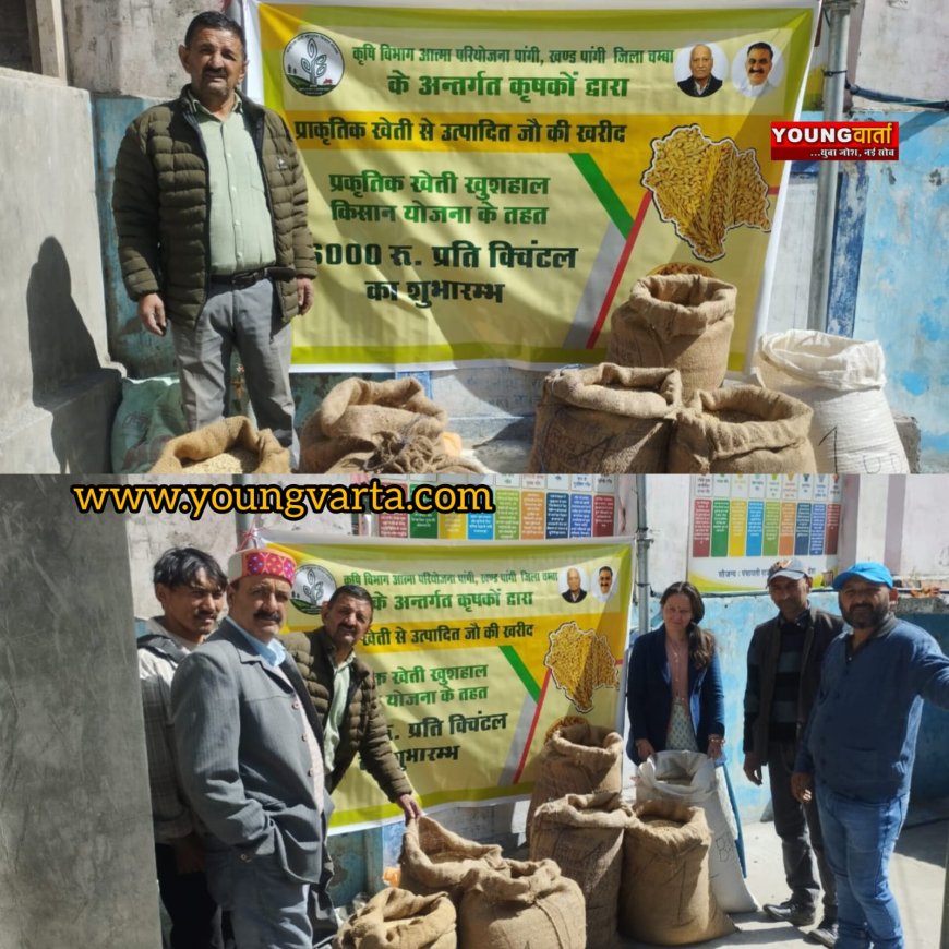 प्राकृतिक खेती खुशहाल किसान योजना के तहत किसानों से 6000 प्रति क्विंटल की दर से ही रही जौ की खरीद