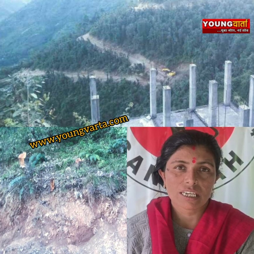 सड़क बनाने के लिए कांग्रेस नेता ने कटवाए 400 हरे पेड़ , संगड़ाह की कमलेश ने मुख्यमंत्री और राज्य पाल को भेजी शिकायत