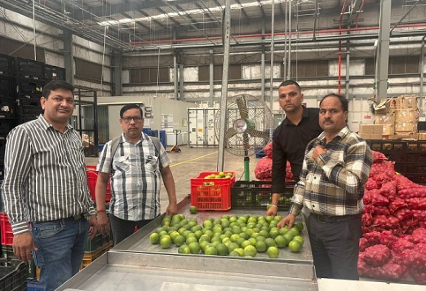 एचपी शिव परियोजना के अंतर्गत तैयार मौसम्बी की पहली खेप धर्मपुर क्लस्टर से पहुंची राजपुरा रिलायंस स्टोर