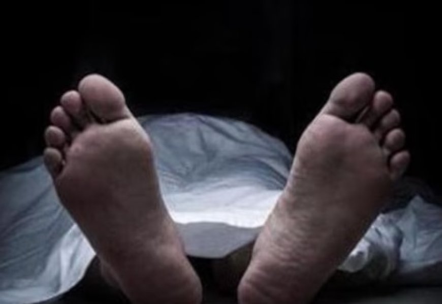 दर्दनाक : पैर फिलसले से खाई में गिरी महिला,मौके पर ही मौत