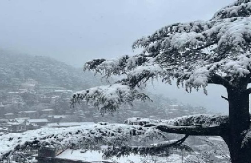 हिमाचल के ऊंचाई वाले इलाकों में दो दिन बारिश-बर्फबारी की संभावना