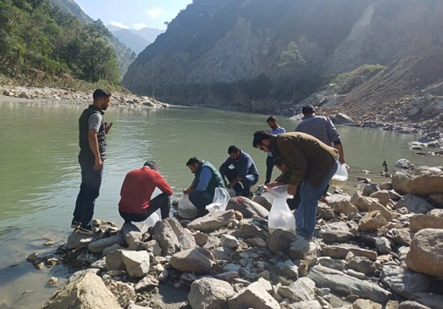 व्यास नदी में छोड़े गए 5 हजार महाशीर मछली बीज,रिवर रैंचिंग कार्यक्रम के तहत मत्स्य विभाग मंडी की पहल