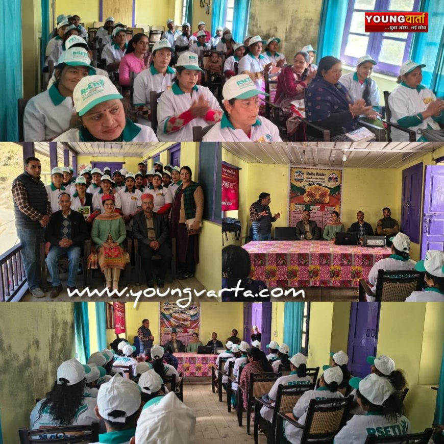 मधु मांडव के तहत सराज क्षेत्र के युवा सीखेंगे मधुमक्खी पालन , जिला प्रशासन ने शुरू किया प्रशिक्षण 