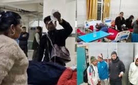 अनियंत्रित हो कर सड़क में पलटी गिरी ट्रैवलर , 29 लोग घायल, हिमाचल से नेपाल जा रहे थे यात्री 