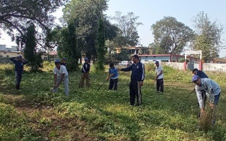 स्वर्ण जयंती राजकीय वरिष्ठ माध्यमिक विद्यालय माजरा में सात दिवसीय एनएसएस शिविर का शुभारंभ