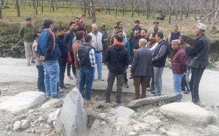 एनडीएमए विशेषज्ञ टीम ने सेराज क्षेत्र के आपदा प्रभावित इलाकों का किया निरीक्षण