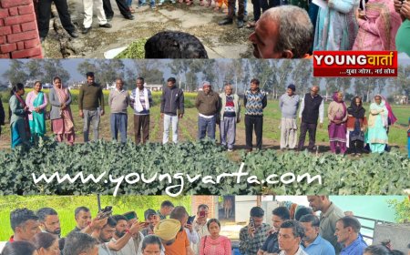 उन्नत किस्मों और कृषि विधियों को अपनाएं किसान , हिमाचल प्रदेश कृषि विश्वविद्यालय ने जारी की एडवायजरी 