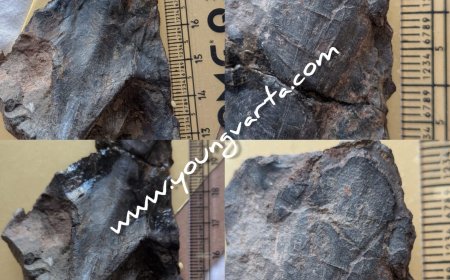 हिमाचल के सबाथू में मिला 4.5 करोड़ वर्ष पुरानी स्नेकहेड मछली का जीवाश्म , डा. आर्या की ऐतिहासिक उपलब्धि