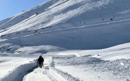 बारिश और बर्फबारी से बढ़ी ठिठुरन,राज्य में 13 स्थानों पर न्यूनतम तापमान 10 डिग्री सेल्सियस से कम  