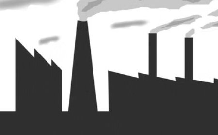 हिमाचल में बल्क ड्रग पार्क और मेडिकल डिवाइस पार्क में उद्योग स्थापित करने के लिए एमओयू होंगे साइन  