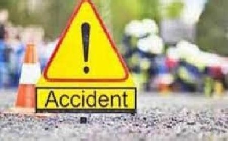 अनियंत्रित होकर गहरी खाई में गिरी ऑल्टो कार, हादसे में कार चालक की मौके पर ही मौत