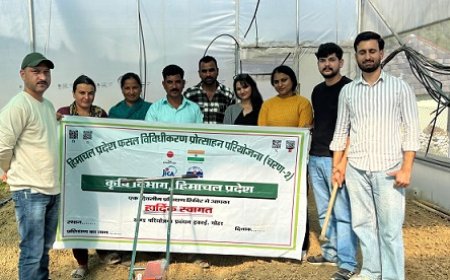 जायका परियोजना से मंडी में फसल विविधीकरण को बढ़ावा