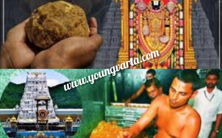पांच साल तक तिरुपति मंदिर में चढ़ा नकली घी का प्रसाद , भगवान के घर हुआ 250 करोड़ का लड्डू घोटाला जानिए