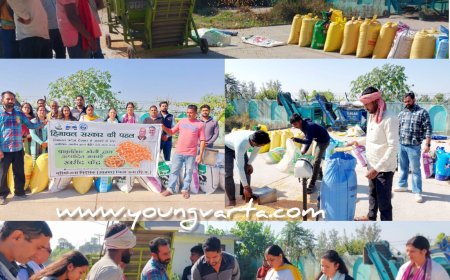 ऊना में 16 किसानों से खरीदी 80 क्विंटल प्राकृतिक खेती से तैयार मक्की , अनाज मंडी में शुरू हुई मक्की खरीद प्रक्रिया 