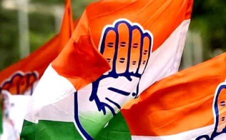 हिमाचल प्रदेश में कांग्रेस पार्टी जल्द ही संगठनात्मक ढांचे को खड़ा करने पर करेगी फोकस  