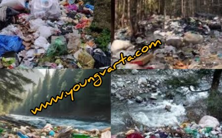 कसोल कचरा वीडियो वायरल होने पर अधिकारियों को एनजीटी की फटकार , सरकार से विस्तृत अनुपालन के निर्देश 