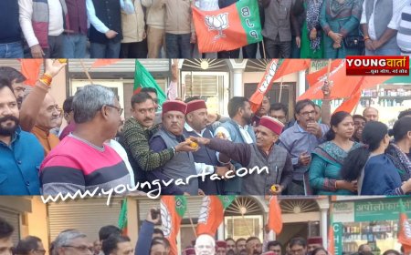 बिहार में एनडीए की जीत पर नाहन में जश्न , शहर के गुन्नू घाट में भाजपा कार्यकर्ताओं ने बांटे लड्डू 