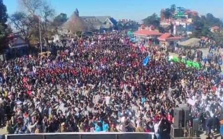 ऐतिहासिक रिज मैदान से चिट्टा विरोधी जागरूकता अभियान की शुरुआत सीएम ने एंटी-चिट्टा वॉकथॉन को दिखाई हरी झंडी  