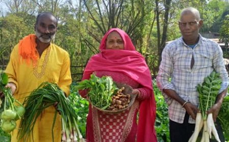 प्राकृतिक खेती से गांव जमनोटी में आई खुशहाली,अच्छे दाम मिलने से बागवान खुश 