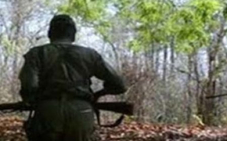 छत्तीसगढ़ के सुकमा में सुरक्षाबलों और नक्सलियों में मुठभेड़, तीन नक्सली ढेर  